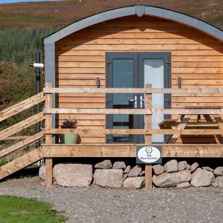 ホテル The Hen Harrier - 4 Person Luxury Glamping Cabin ダンガーバン エクステリア 写真